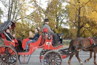 New York City Central Park Horse Carriage Ride 55 min thumbnail 2