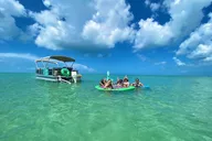 Fort Myers Dolphin and Sandbar Cruise 4 hr thumbnail 1