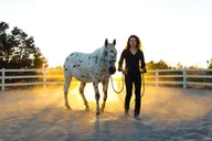 Boulder Leadership & Mindfulness Retreat with Horses thumbnail 1