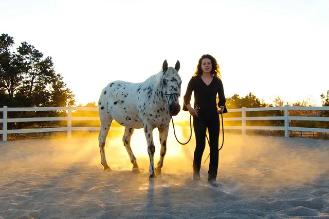 Boulder Leadership & Mindfulness Retreat with Horses - Image 1