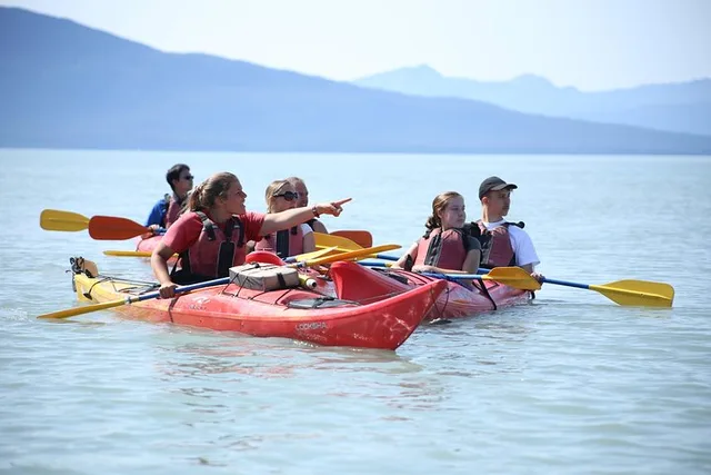 Juneau Mendenhall Glacier Sea Kayaking 3.5 Hr - Image 6