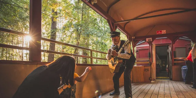 Mendocino Skunk Train Wolf Tree Turn Ride - Image 2