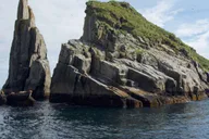 Seward Kenai Fjords National Park Glacier Cruise thumbnail 4