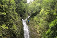 Oahu Waterfall Hike and East Side Beach Day thumbnail 1