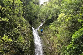 Oahu Waterfall Hike and East Side Beach Day