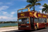 Miami Sightseeing Day Pass thumbnail 3