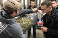 Washington DC Brew Tour thumbnail 6