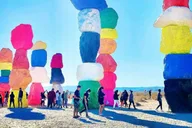 Las Vegas Car Tour to Seven Magic Mountains thumbnail 6