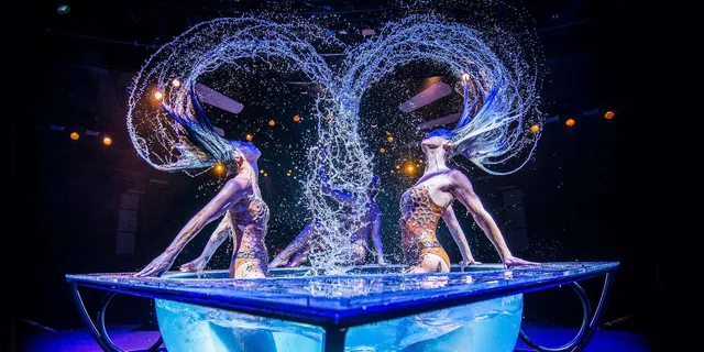 Las Vegas WOW Show at Rio Hotel & Casino 1.5 hr - Image 3