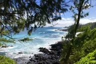 Maui Road to Hana Private Tour 9 hr thumbnail 5