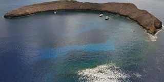 Maui Molokini Crater Snorkeling Tour 2 hr