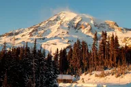 Seattle Mt. Rainier National Park Tour thumbnail 6