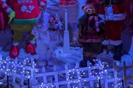 New York Christmas Lights Tour thumbnail 2