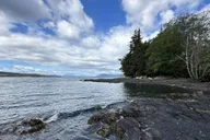 Ketchikan Rainforest Walk and Totem Park Tour thumbnail 4
