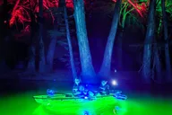 Kerrville Glowing Kayak Tour thumbnail 5