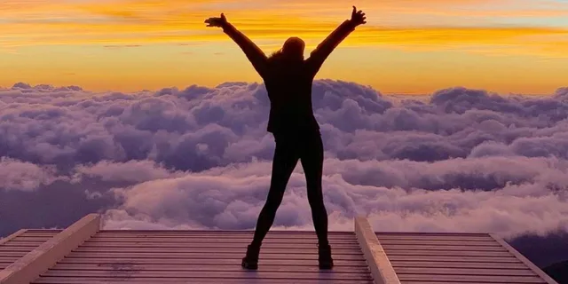 Maui Rainforest Adventure to Hana - Image 4