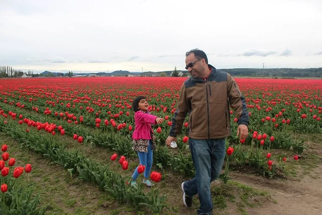 Skagit Valley Tulip Festival Tour - Image 5