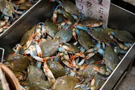 Manhattan Chinatown Food Tour with a Chef thumbnail 5