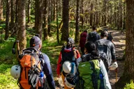 Juneau Mendenhall Glacier Guided Hike 6 hr thumbnail 3