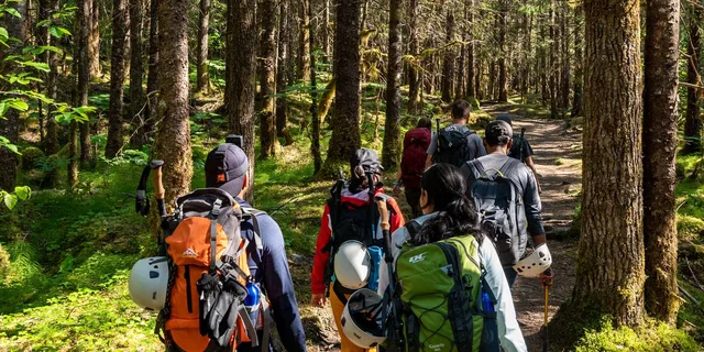 Juneau Mendenhall Glacier Guided Hike 6 hr - Image 3