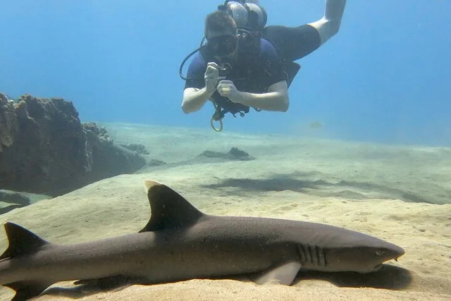 Lahaina Scuba Dive for Certified Divers 2 hr - Image 5