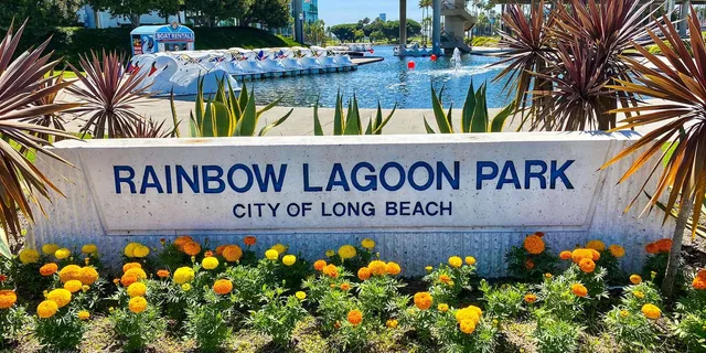 Los Angeles Swan Boat Rental at Echo Park Lake - Image 4
