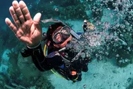 Key West Reef Dive Trip thumbnail 1