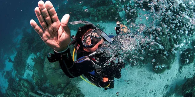 Key West Reef Dive Trip - Image 1
