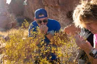 Las Vegas Valley of Fire Tour at Sunset thumbnail 6