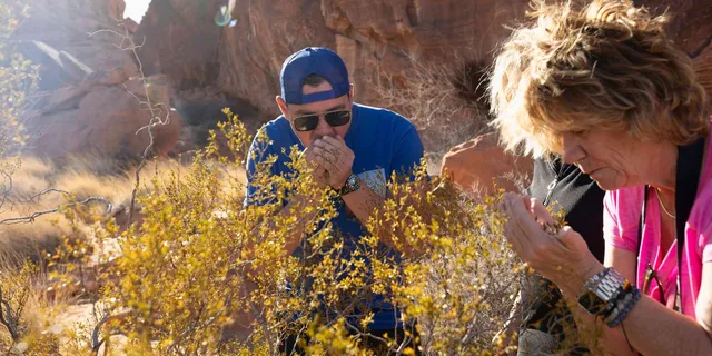 Las Vegas Valley of Fire Tour at Sunset - Image 6