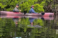 Everglades Kayak Tour at Sunset thumbnail 5