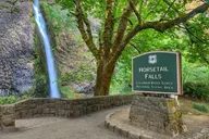 Portland City and Gorge Waterfalls Tour thumbnail 3