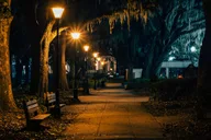 Savannah Beyond Good & Evil Tour thumbnail 1