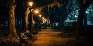 Savannah Beyond Good & Evil Tour