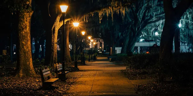 Savannah Beyond Good & Evil Tour - Image 1