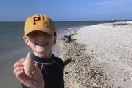 Marco Island Dolphin, Shelling, and Birding Eco Boat Tour thumbnail 6