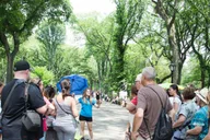 New York City Central Park TV & Movie Sites Walking Tour thumbnail 1