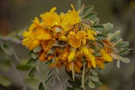 Big Island High Country Adventure thumbnail 4