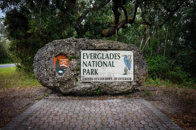 Miami Everglades Eco Adventure - Image 2