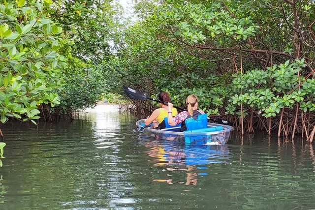 Jupiter Clear Kayak Eco Tour - Image 4