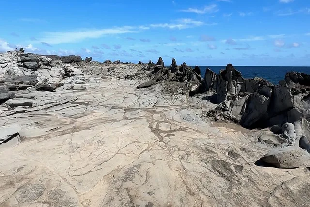 Maui Coastline Open-Air Jeep Tour - Image 6