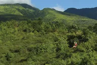 Maui Zipline Adventure thumbnail 5