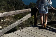 Malibu Celebrity Homes and Beaches Tour thumbnail 4