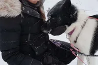 Fairbanks Dog Sledding and Mushing Experience thumbnail 5