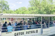 New Orleans Manchac Bayou Swamp Cruise thumbnail 2