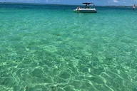 Key Largo Sandbar Excursion thumbnail 3