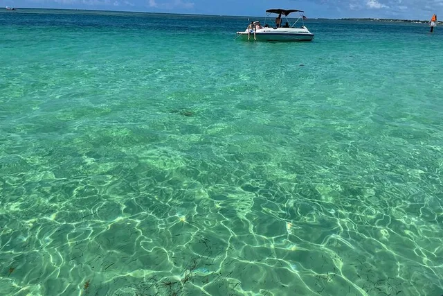 Key Largo Sandbar Excursion - Image 3