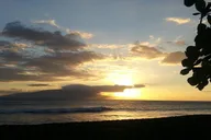 Maui Ocean and Winery Tour thumbnail 3