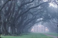 New Orleans Oak Alley Plantation Tour thumbnail 5