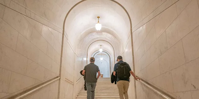 Washington DC Capitol Hill Guided Tour - Image 2